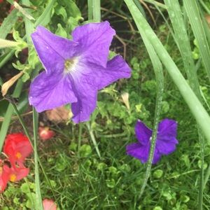 Meet your Posher, Rita